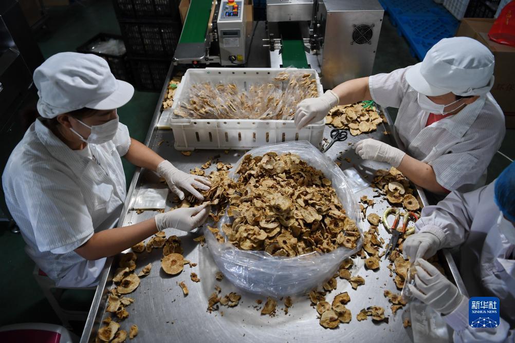 仙豆棋牌苹果版
